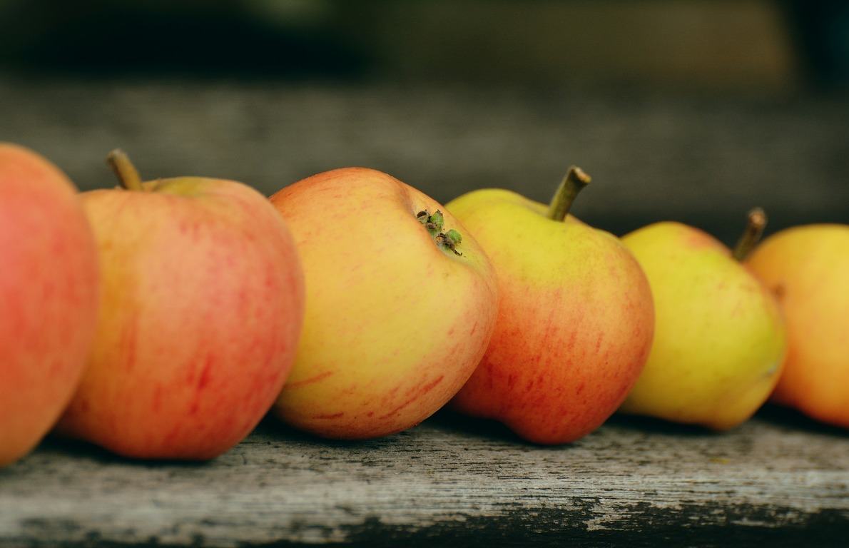 Apples from 9 Essential Fall Superfoods and How to Cook Them Slideshow